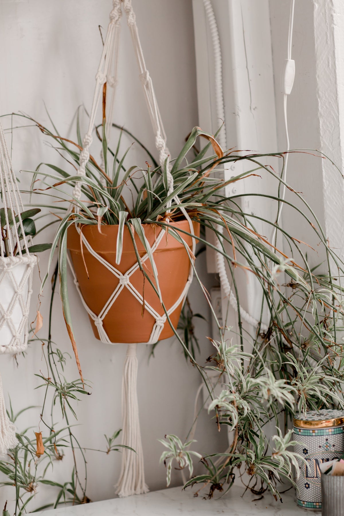 Forest Glaze Planter